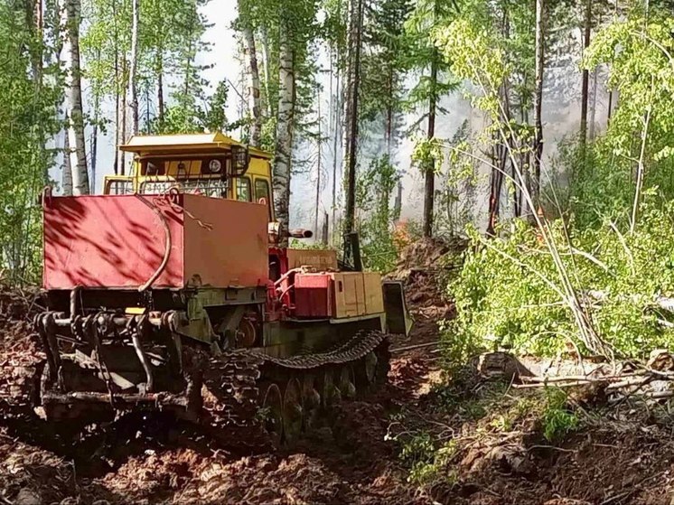 В Приангарье потушили 10 лесных возгораний