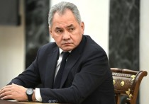 Министр обороны РФ Сергей Шойгу заявил, что в ВВС РФ практически исключили аварийность по человеческим факторам