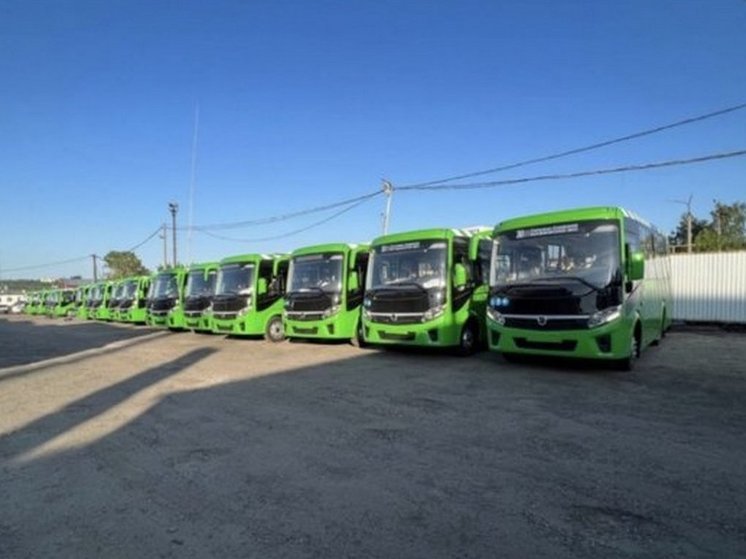 В Курск прибыла партия новых автобусов средней вместимости
