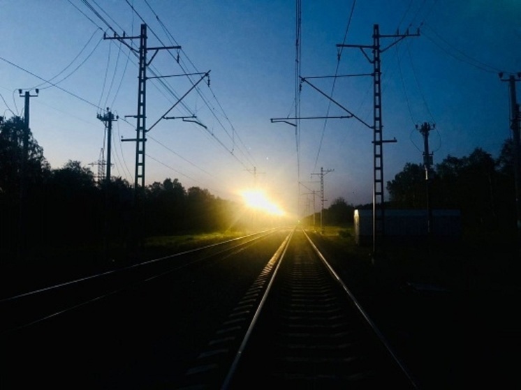 В Ярославском районе на железнодорожных путях погиб подросток