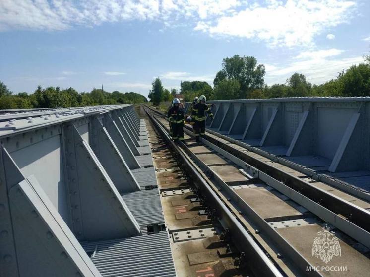 В Гусево локомотив сбил пенсионера