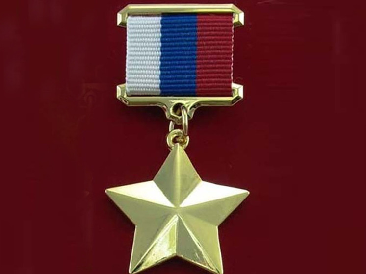 Губернатор Ивановской области вручил медаль родственникам погибшего десантника