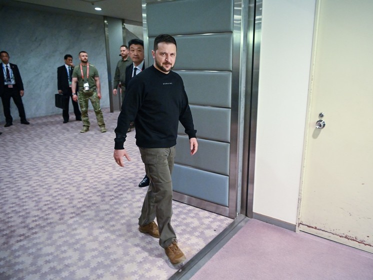 Зеленский объяснил, в чем "похожи" Украина и Южная Корея