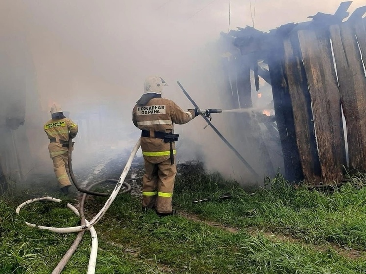 Огонь наступает: за сутки в Новгородской области потушили 14 пожаров