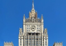 МИД России в своем телеграм-канале выразил решительное осуждение попыток террористических акций со стороны ВСУ