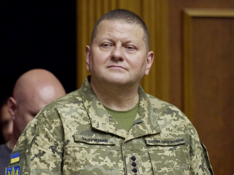 МВД России объявило в розыск главкома ВСУ Залужного