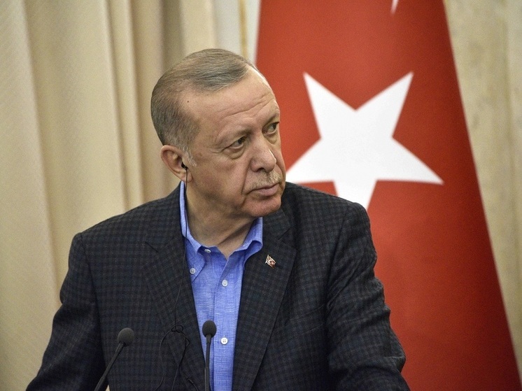 Президент Турции Эрдоган заявил, что обсудил с Путиным тему обеспечения нуждающихся стран продовольствием