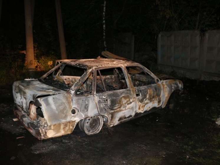 В Рязани трое мигрантов убили управляющего кафе и сожгли его труп в машине