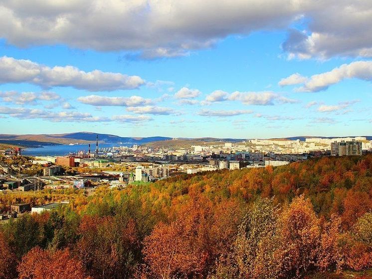 Как стать миллионером в Мурманске: регион ждет новых предпринимателей