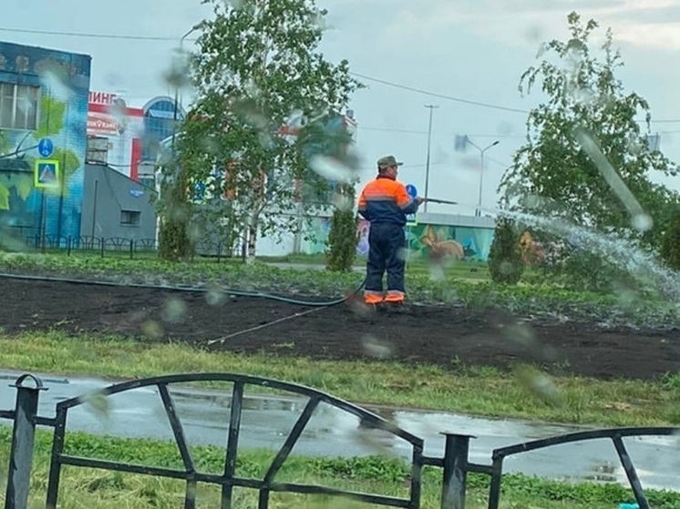 В Омске после сильного дождя коммунальщики поливали газоны