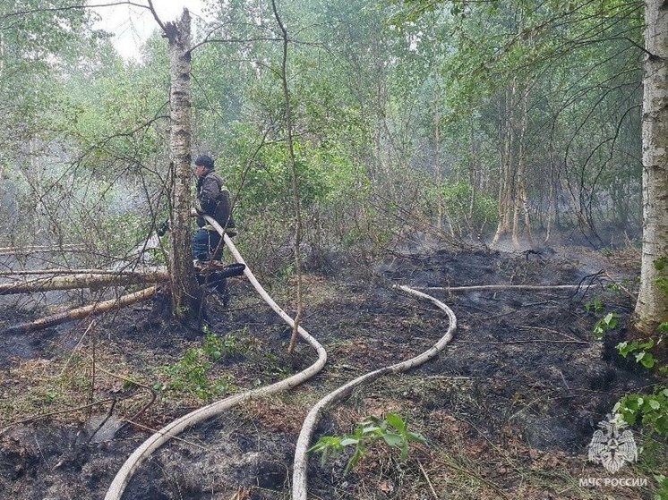 МЧС о пожаре в Калтасинском районе: «Да, горит, но пожар локализован»