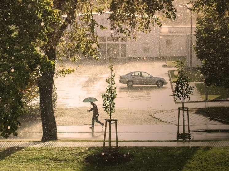 В Белгородской области 31 мая пройдут короткие дожди с грозами