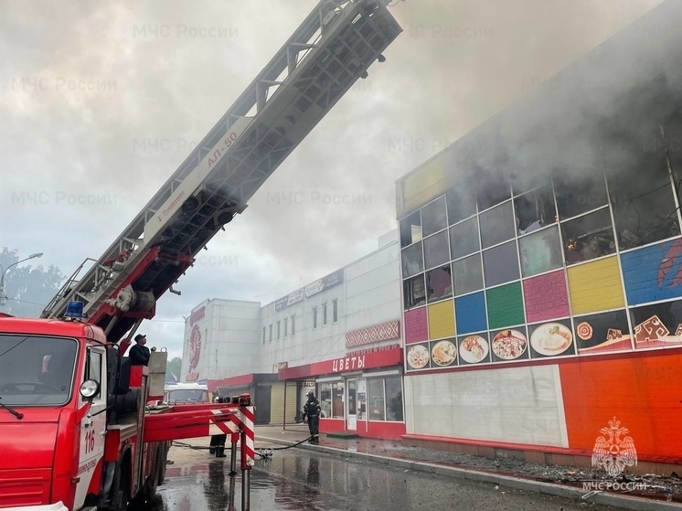 Пожар произошел в торговом центре в Орехово-Зуево