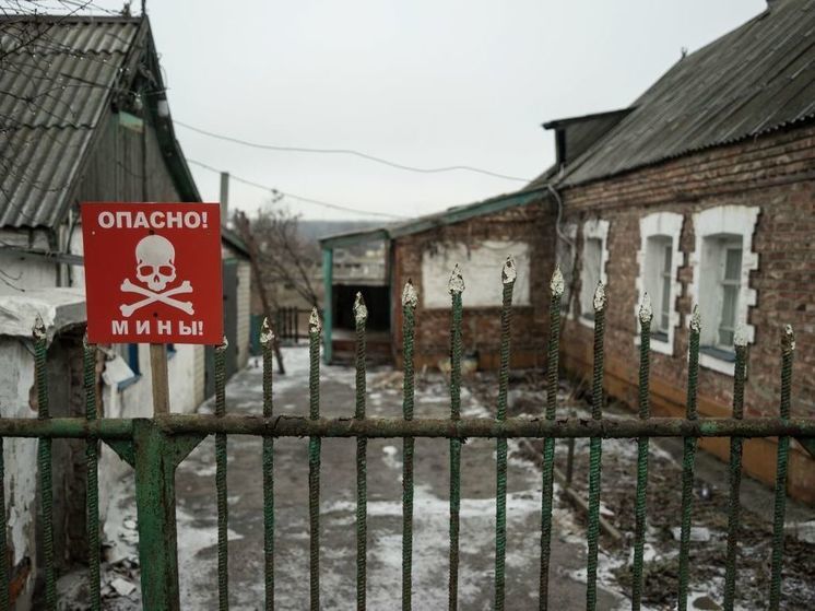 В новом регионе России нашли и обезвредили мины