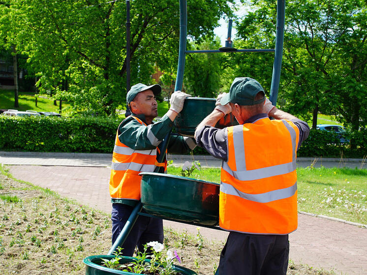 Более миллиона цветов высадят летом в Хабаровске к его 165-летию