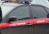 Мужчину из Волгограда задержали по подозрению в сексуальном насилии над 8-летней девочкой, осуществлённом в подъезде многоэтажки, информируют в пресс-службе Следственного управления СК РФ по региону