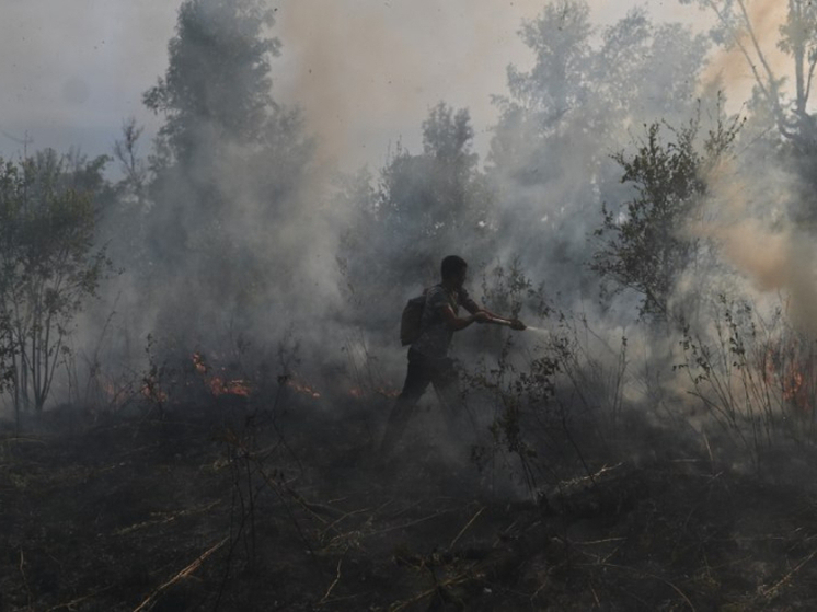 Жителей Омской области оштрафовали на 500 000 рублей за нарушение пожарной безопасности в лесах