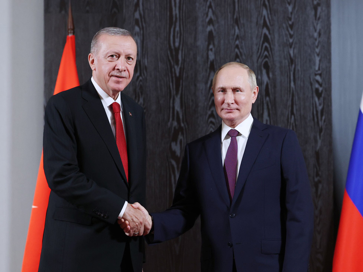 В Турции заявили, что визит Путина в ближайшее время не готовится
