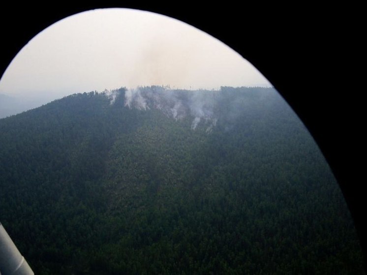 В Приангарье за сутки зарегистрировали 3 лесных возгорания