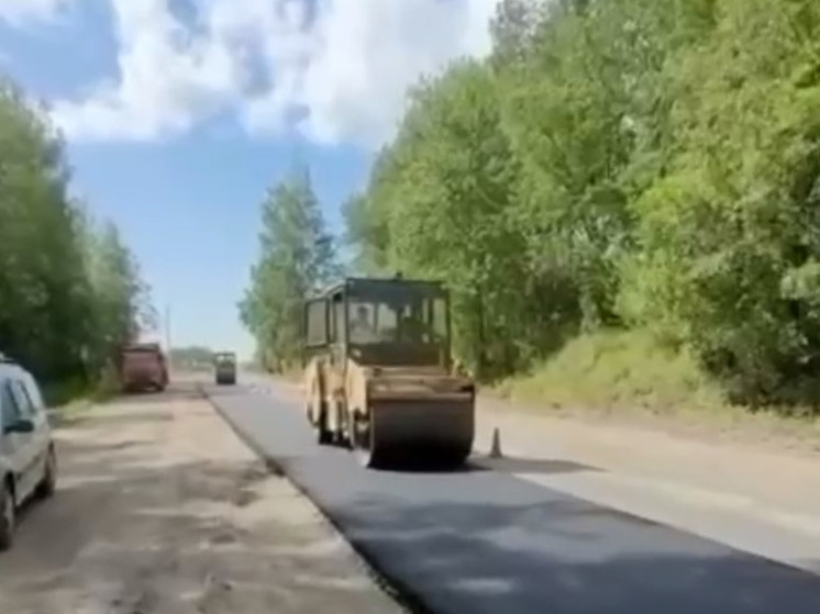 Новый асфальт укладывают на дороге в Мяглово