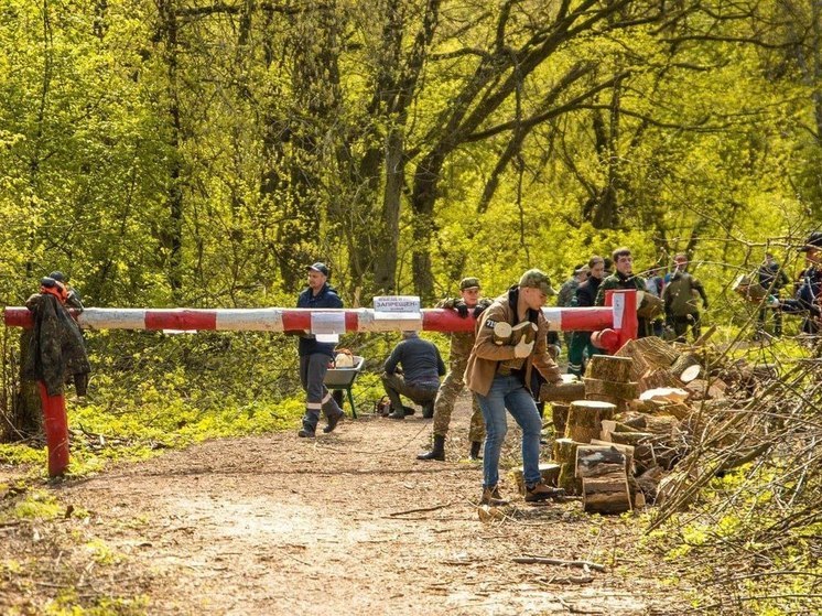 В Курске 3 июня пройдёт традиционная акция по заготовке дров для участников СВО