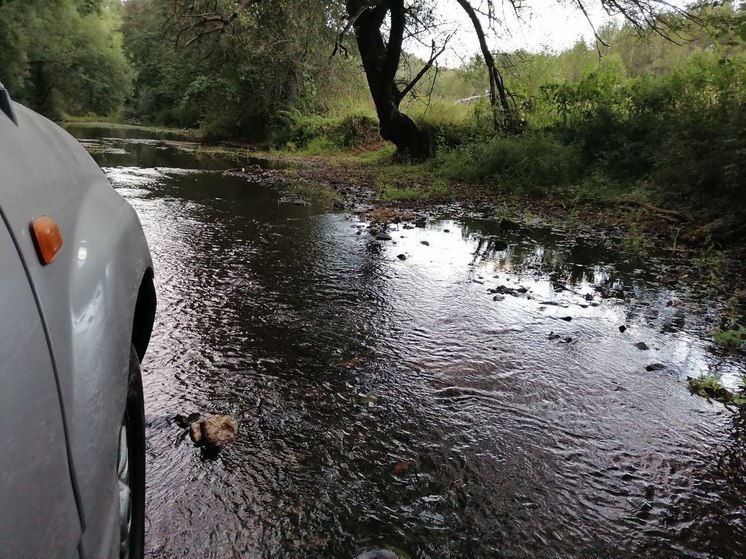 В Тульской области расчистят участки реки Веневки