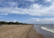 Два ребенка погибли на петербургских пляжах в 2022 году. Об этом сообщил замглавы ГУ МЧС по Петербургу Виктор Колесов на пресс-конференции 31 мая.