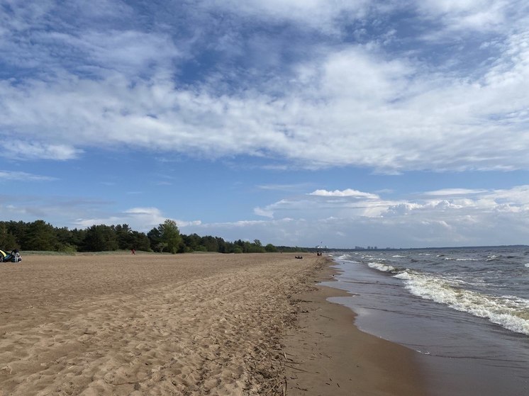 Два ребенка погибли на пляжах Петербурга в 2022 году