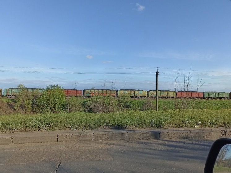В Минтрансе выдвинули идею по страхованию грузовых поездов в новых регионах РФ