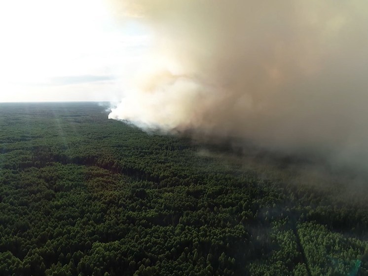 Костромская область готова к борьбе с лесными пожарами и беспечными дураками