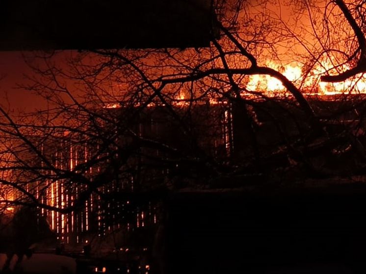 Крупный пожар уничтожил 35 транспортных средств в подмосковном Ногинске в ночь на четверг