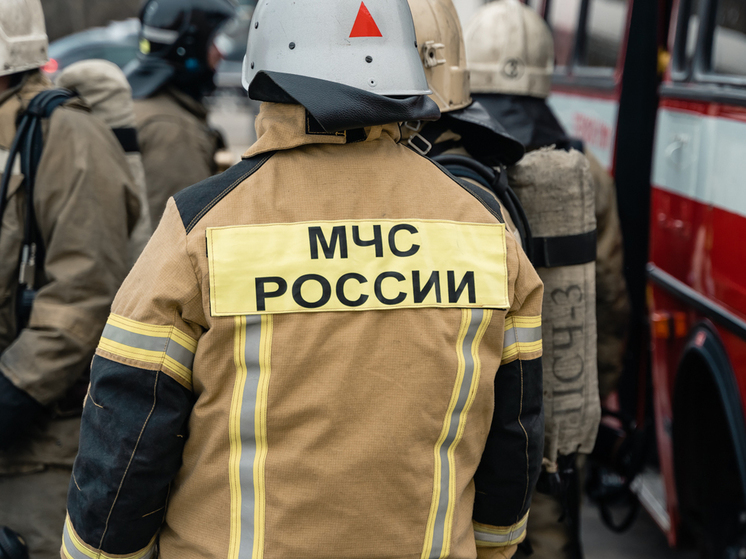 Один человек погиб и один пострадал на пожаре Сасовском районе
