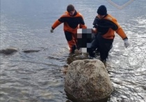 Тело утопленника заметили в Ладожском озере ранним утром 1 июня. Об этом сообщили в telegram-канале «Аварийно-спасательная служба ЛО».