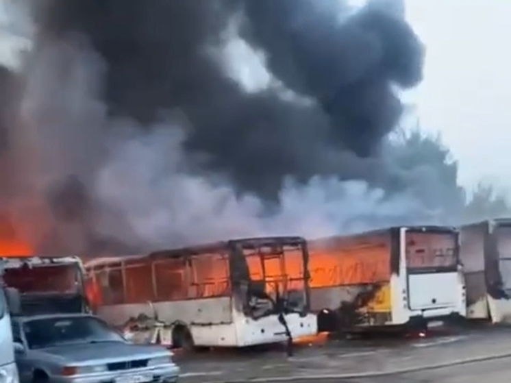 Пожар произошел на автобусной парковке в Ногинске