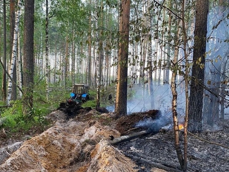 В лесах Марий Эл установлен особый противопожарный режим
