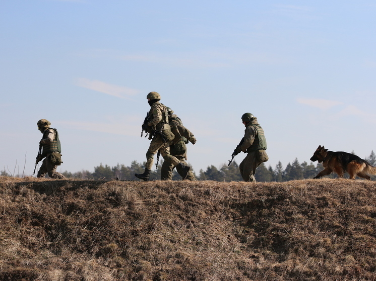 Guardian: украинские военные признали превосходство обороны ВС РФ