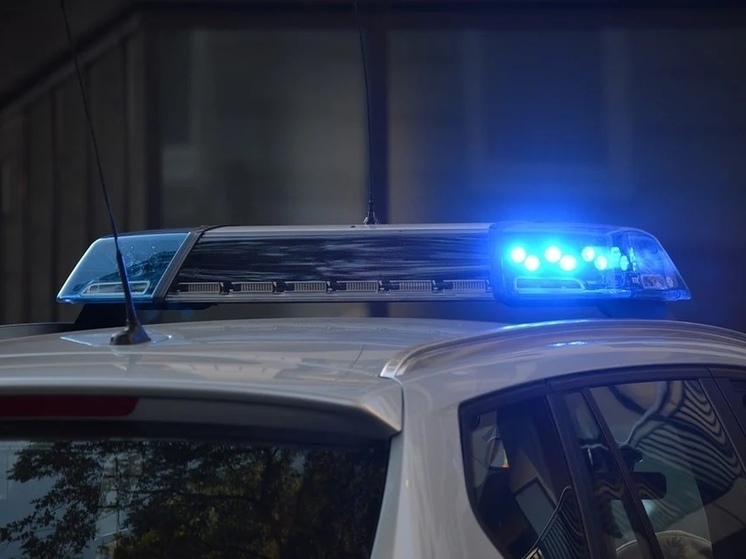 Великолукскую автоледи полицейские повторно поймали пьяной за рулём