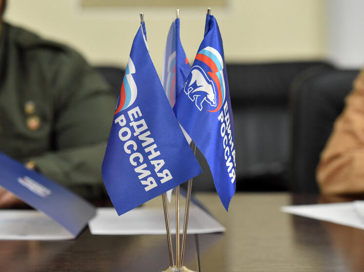 В новых регионах РФ планируют создать единый онлайн-портал