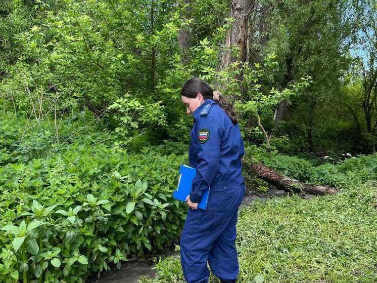 Прокуратура проводит проверку по факту сброса сточных вод в реку Локна в Плавском районе