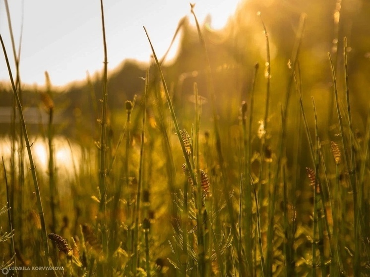 Какую погоду ждать жителям Карелии в июне