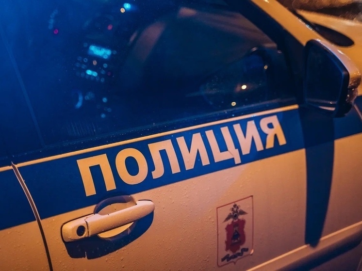 В Тверской области пьяный мужчина накричал на полицейских, а после пытался сбежать