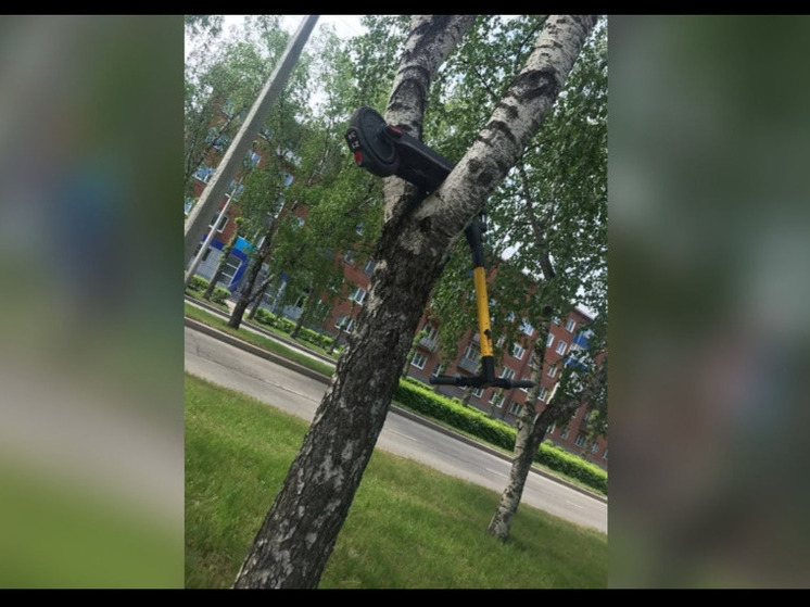 Креативный кузбассовец "припарковал" самокат на дереве