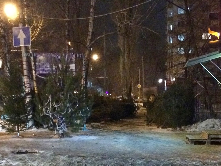 Житель Энгельса пришел на рынок за новогодней елкой без денег, ближайший Новый год он встретит в колонии