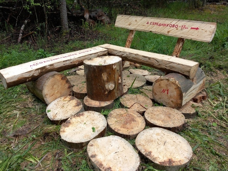 В лесах Волоколамского округа появились более 50 лавочек - указателей
