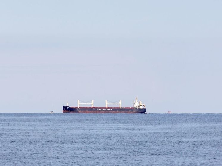 РФ ограничила проход судов в порт Южный из-за аммиака