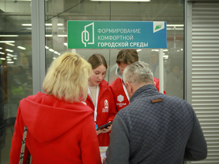 Волонтеры Калининграда помогли горожанам улучшить город