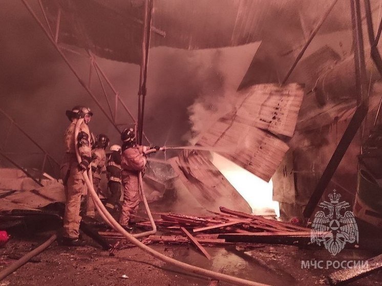 В Красноярске за сутки потушили 17 пожаров