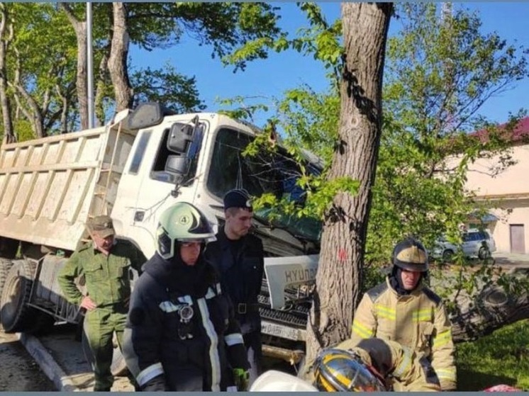 Пострадавший в ДТП водитель самосвала скончался в автомобиле скорой помощи на Сахалине