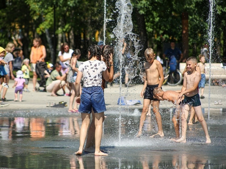 Штормовое предупреждение в связи с аномальной жарой объявлено в Томске