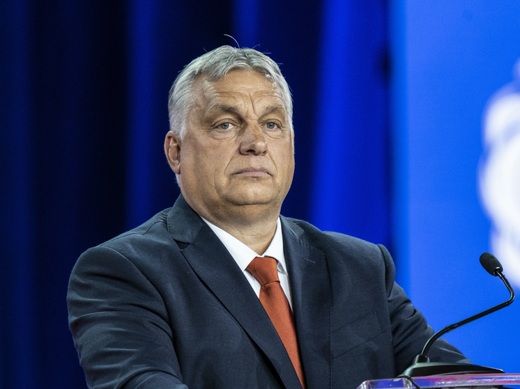 Премьер-министр Виктор Орбан призвал не допустить контрнаступления Вооруженных сил Украины (ВСУ)